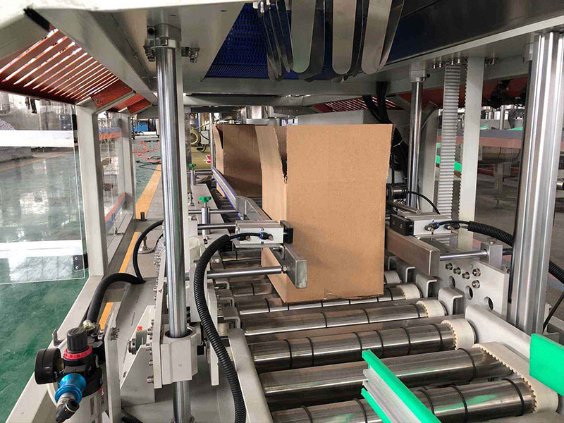 Paper Carton Packing System